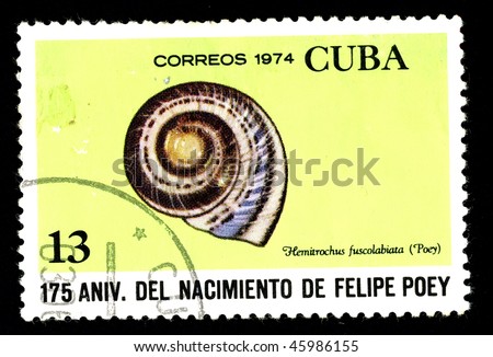 CUBA - CIRCA 1974: A postage stamp printed in the Cuba shows image a sea life, the sea shell \