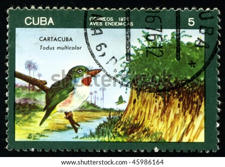 CUBA - CIRCA 1976: A postage stamp printed in the Cuba shows image the life of birds, the bird \