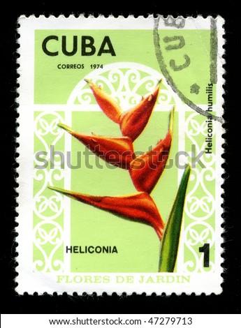 CUBA - CIRCA 1974: A postage stamp printed in the Cuba shows image a flora life, the flower \