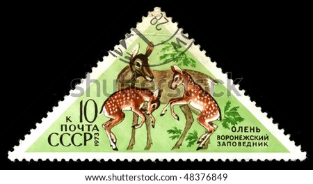USSR - CIRCA 1973: A postage stamp printed in the USSR shows image life of animals, deers, circa 1973