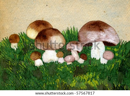 fungus research paper fungus research paper