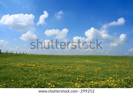 Scenic picture of a meadow full of dandelions with impressive sky and clouds at the background