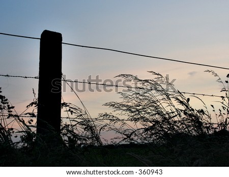 silhouette of rural fence