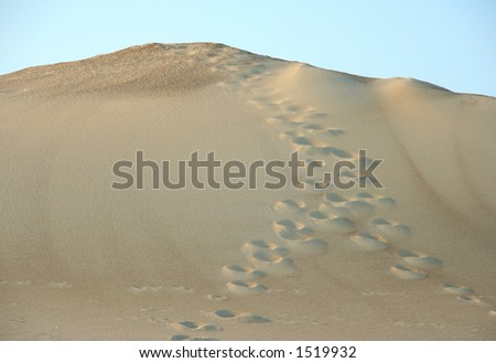 Footprints leading to the top of a sand dune