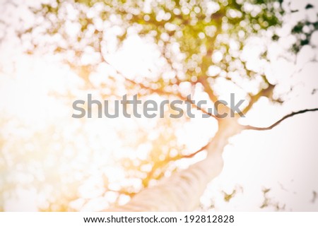 Beneath a tree in the summer sun