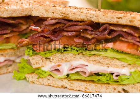 Two sandwich beautiful close-up shoot nice illuminated