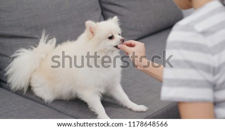 Woman feeding snack to her dog