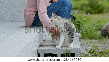 Woman touch on the cat at the garden