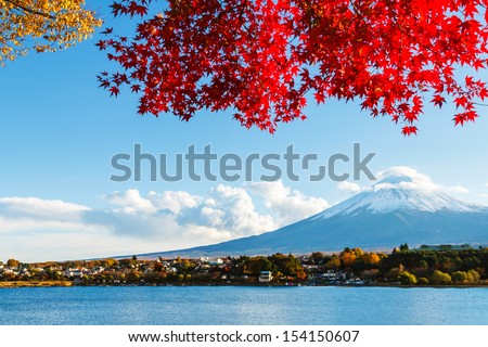 Mt. Fuji In Autumn