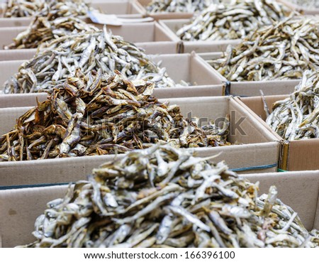 Dried anchovy fish in paper box