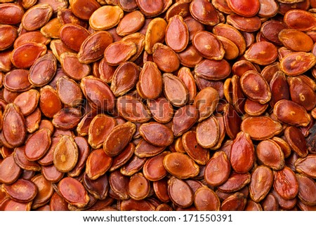 Red melon seed for lunar new year