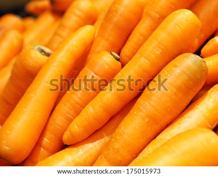 Fresh carrot Fresh carrot