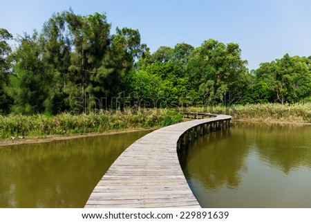 Forest and lake with wooden path