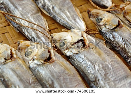 Dried salt Fish