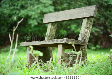bench in forest