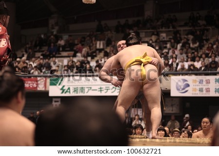 TOKYO - APRIL 7: Popular Sumo wrestler Hakuho in yellow in a tournament in Tokyo, Japan on April 7, 2012. Even though the sport is mostly dominated by foreigners it is still Japan\'s national sport.