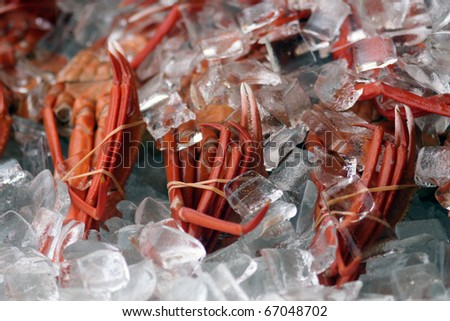 Japanese crabs cooled in ice in a fish market in Niigata, Japan
