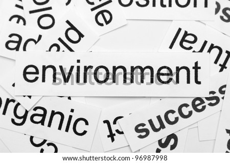 Environment word cloud