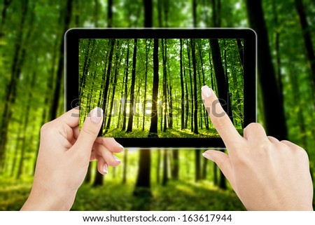 tablet computer in hand on the forest backgrounds