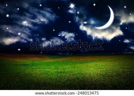 Green field under night sky with moon and stars. Beauty nature background