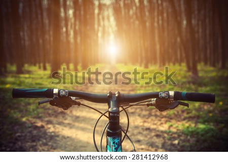 Mountain biking down hill descending fast on bicycle. View from bikers eyes.