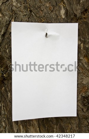 paper card is nailed to the tree