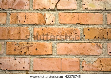 old brick wall by a large plan