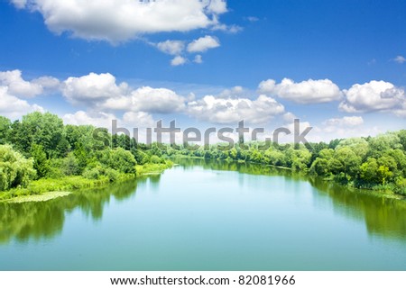 Picturesque forest and the river