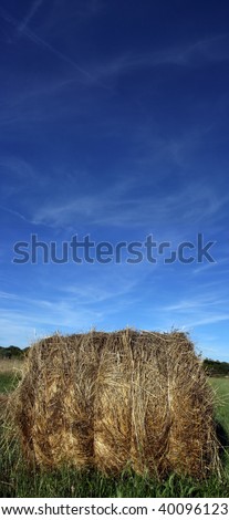 a vertical panorama shot of a haystack on a field