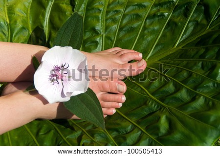 Feet with a flower resting on a palm leaf waiting for beauty treatment on her feet