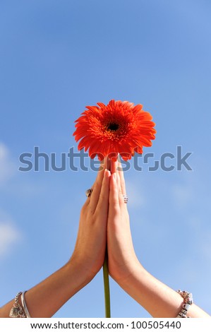 Hands in prayer position holding a red gerbera against a blue sky