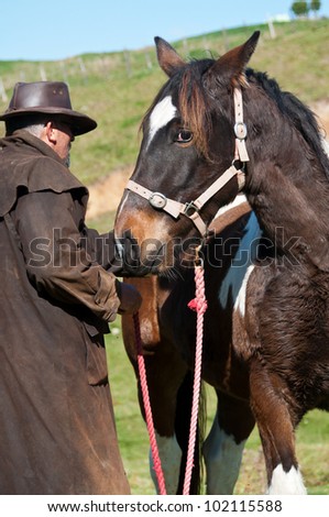 Farmer working with horse, training, breaking in, horse whisperer
