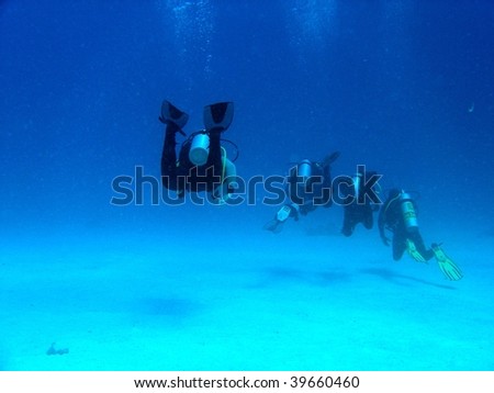 Scuba diving group