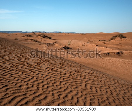 Moroccan Sahara desert