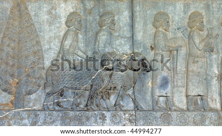 Stone carving Bas Relief from ruins of ancient Persepolis (Pars / Fars) capital city of the Persian empire (now in Iran). 5th Century B.C. Near Shiraz, Iran.