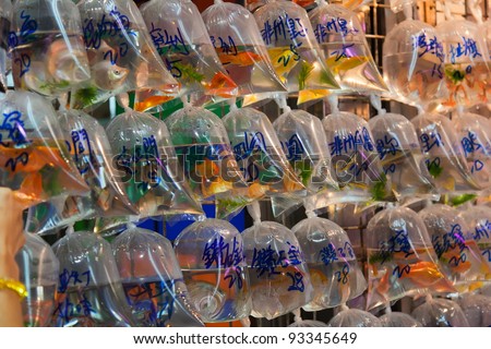 Bags of fishes for sale at The Goldfish Market. Hong Kong.