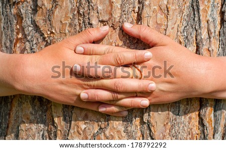 Female arms hugging a tree.