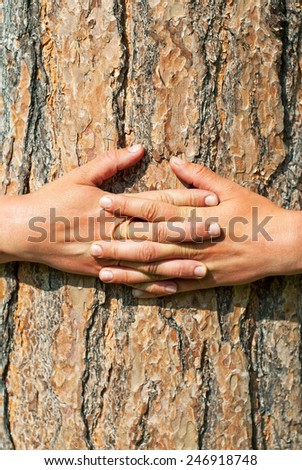 Abstract Nature. Arms wrapped around a tree