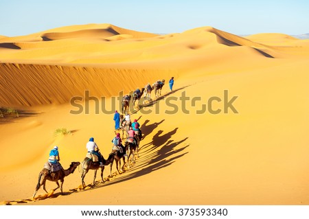 Caravan with bedouins and camels in sand dunes in desert at suns