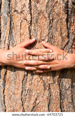 arms wrapped around a tree