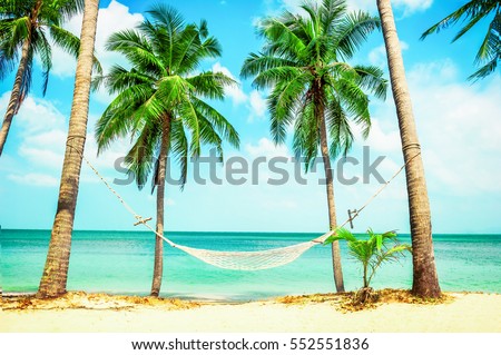 Beautiful beach.  Hammock between two palm trees on the beach. Holiday and vacation concept. Tropical beach.