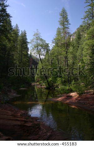 The stream in West Fork,Oak Creek Canyon