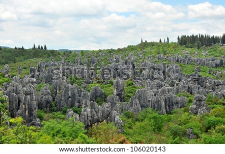 Natural wonder: Stone Forest National Park in China