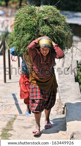 KATHMANDU, NEPAL - MAY 7: Unidentified Nepalese porters carrying heavy load in basket on May 7, 2012 in Kathmandu, Nepal. Nepal is one of the poorest countries and many people make only $900 per year.