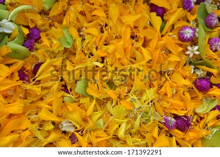 Flowers for worship and offering
