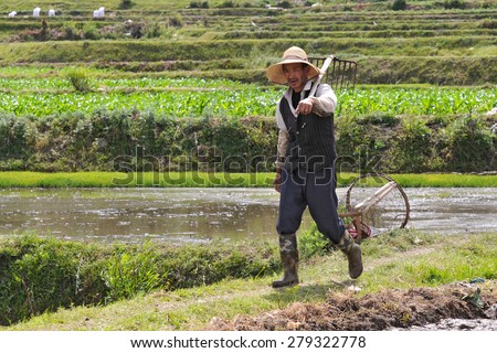 DALI - APRIL 25: Chinese farmer working on rice field on April 25, 2015 in Dali, China. Farmers in China have to work hard and earn average 1800 USD a year.
