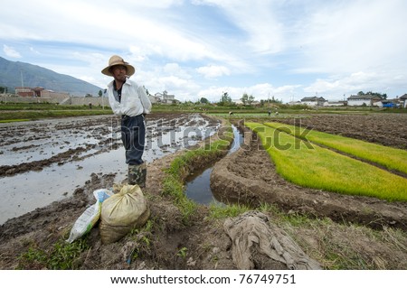 DALI, CHINA- MAY 22: Unidentified Chinese farmer takes a break after hard work on rice field on May 22, 2010 in Dali, China. For many farmers rice is the main source of income (around $800 annual).
