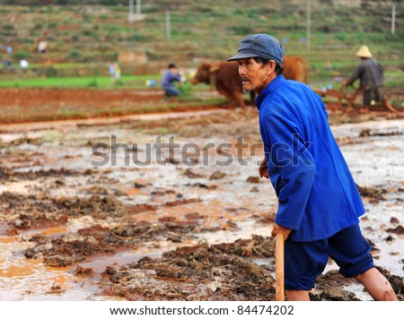 DALI, CHINA - MAY 25: An unidentified Chinese farmer works hard on rice field on May 25, 2011 in Dali, China. For many farmers rice is the main source of income (around $800 annual).