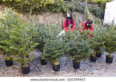 ESPINELVES, SPAIN - DECEMBER 6: People visit the famous Fir Tree Fair to buy fir trees and other Christmas decoration for the upcoming festive season, on December 6, 2013, in Espinelves, Spain.