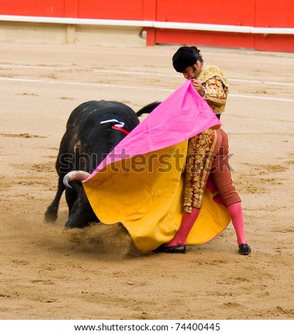 Bullfighting Logo